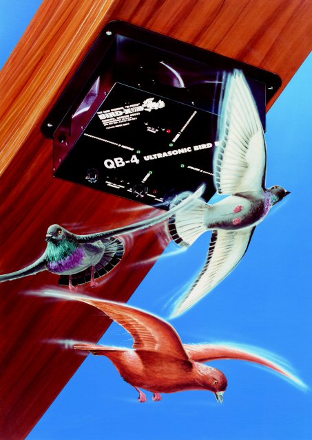 QB-4